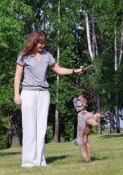 Similar image 780335