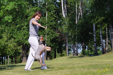 Similar image 780337