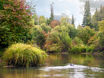 Similar image 780371