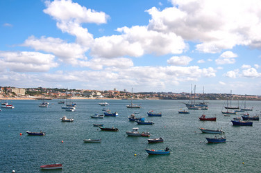 Similar image 780394