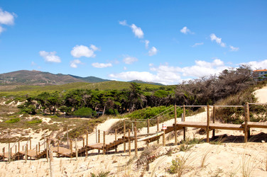 Similar image 780412