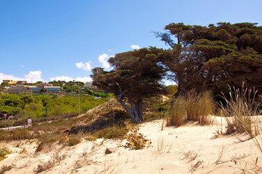 Similar image 780414