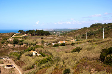 Similar image 780424