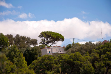 Similar image 780428