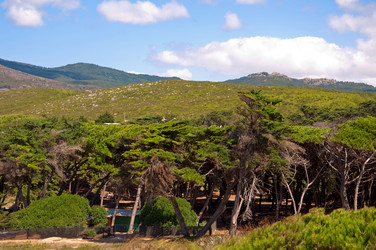 Similar image 780434