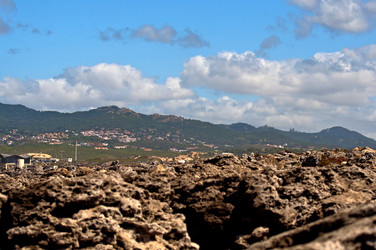 Similar image 780436