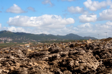 Similar image 780438