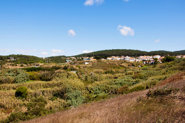 Similar image 780439