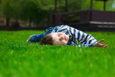 Similar image 780534