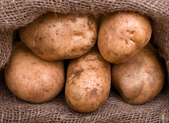 Similar image 780536