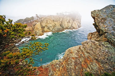 Similar image 780580