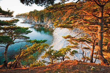 Similar image 780584