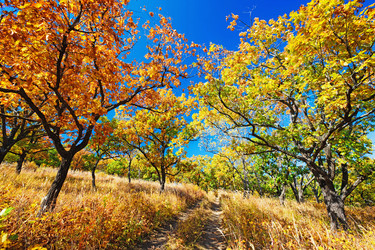 Similar image 780586