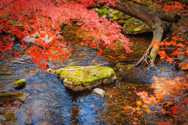 Similar image 780587