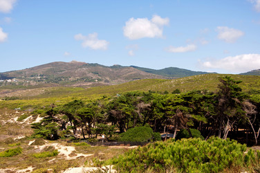 Similar image 780594