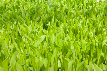 Similar image 780647