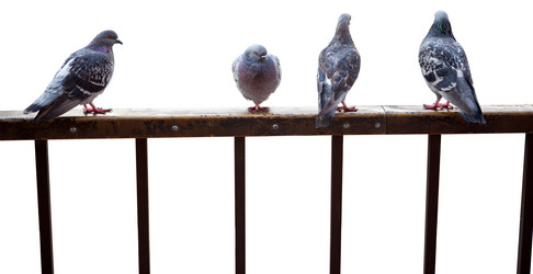 Similar image 780790