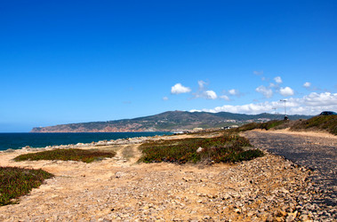 Similar image 780845