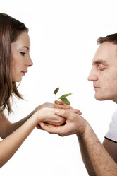 Similar image 780862