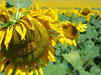 Similar image 780884