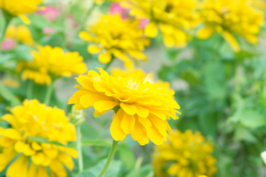 Similar image 780934