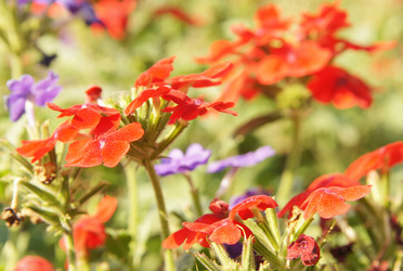 Similar image 780936