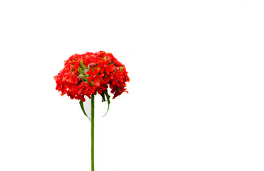 Similar image 780938