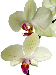 Similar image 780940