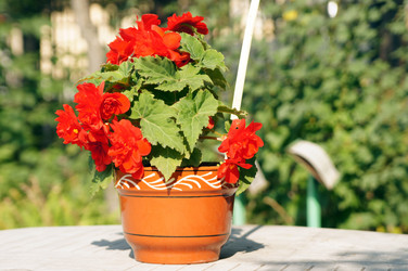 Similar image 780943