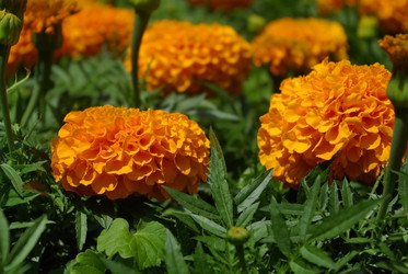 Similar image 780974