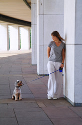 Similar image 781058