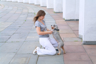 Similar image 781098