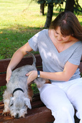 Similar image 781105