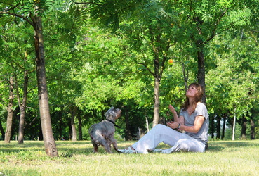 Similar image 781107