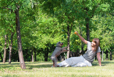 Similar image 781114