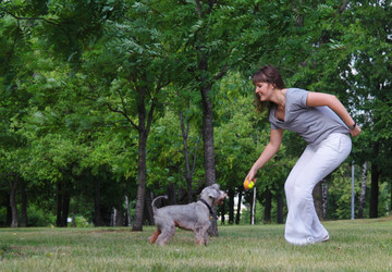 Similar image 781115