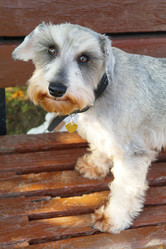 Similar image 781119