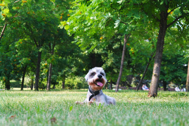 Similar image 781120