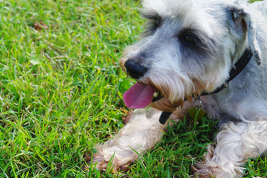 Similar image 781121