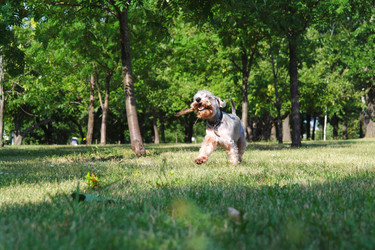 Similar image 781130