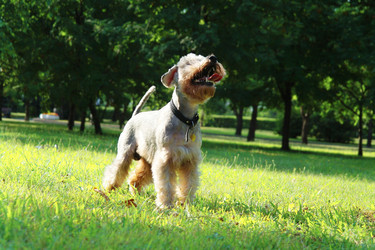 Similar image 781133