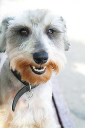 Similar image 781136