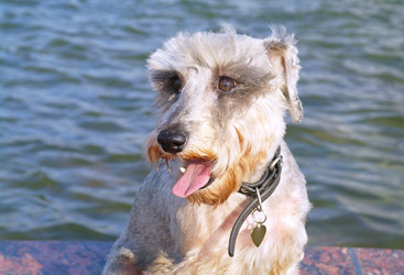 Similar image 781149