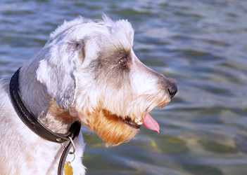 Similar image 781151