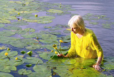 Similar image 781204