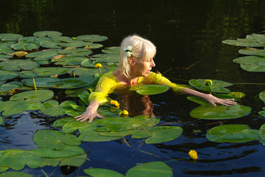 Similar image 781208