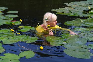 Similar image 781212