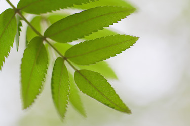 Similar image 781237