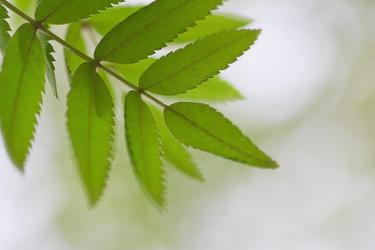 Similar image 781238