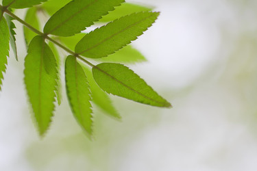 Similar image 781239